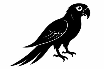 Obraz premium parrot silhouette black silhouette vector