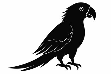 Obraz premium parrot silhouette black silhouette vector