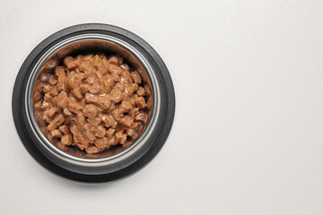 Wet pet food in feeding bowl on white background, top view Space for text