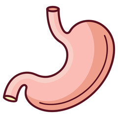 Obraz premium Stomach Cartoon on White Background, Outline, Digestive System