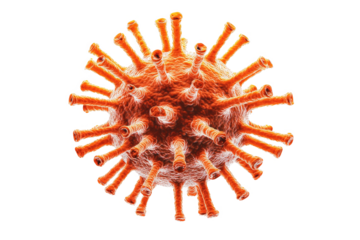 a corona corona corona corona corona corona corona corona corona corona corona corona corona corona corona corona corona corona cutout and isolated on transparent background 