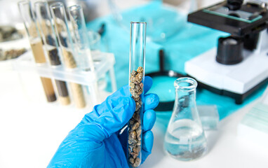 Soil testing in the laboratory. Selective focus.