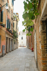 Fototapeta premium narrow street in the old town