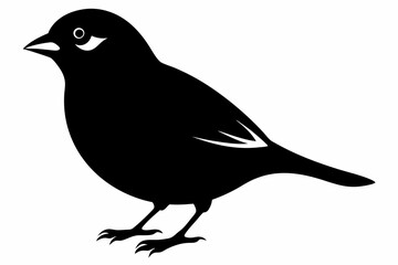 Fototapeta premium sparrow silhouette black vector