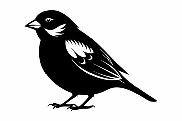 Obraz premium sparrow silhouette black vector