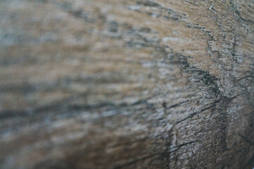  Beautiful natural wood texture close-up