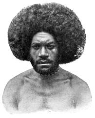 People of Australia and Oceania. Portrait of a man, indigenous to Fiji. Publication of the "Meyers encyclopedia", Vol. 7, Leipzig, Germany, 1910.