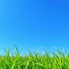 Fototapeta premium Vibrant green grass patch set against a clear blue sky, day, overlay