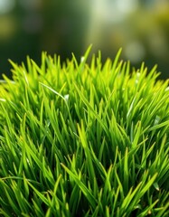 Fototapeta premium Lush green grass tuft, vibrant texture, isolated, lush, rural