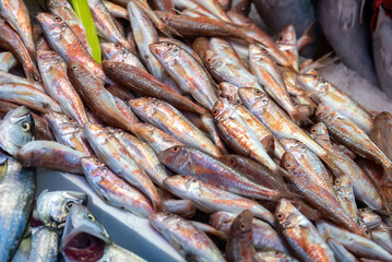 Red mullet at the fish market in Istanbul.