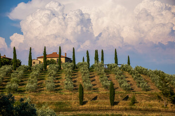 Typical Tuscany farmhouse (fattoria), Italy