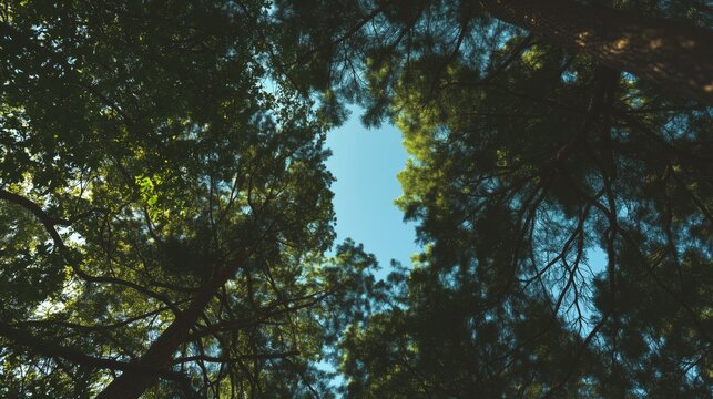 &ETH;&frac14; - generated AI