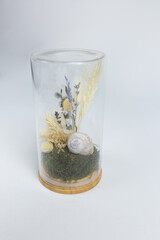 Miniature terrarium with dried flowers, snail, and moss in a glass cylinder