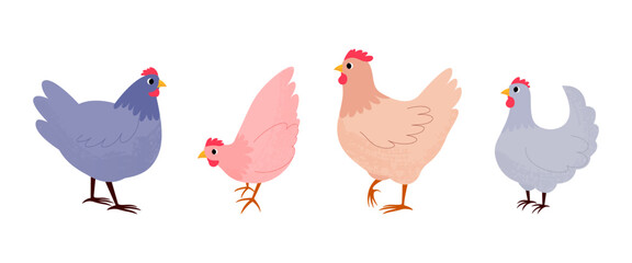 Set of several cute chickens on white background. Hand drawn vector illustration. Poultry farming. Textured illustration. Cozy hobby. Birds in different poses.