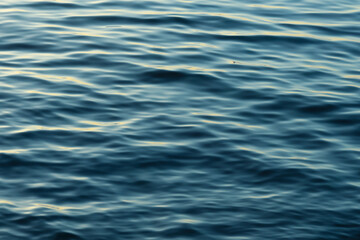Texture of water waves movement, background