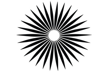 Fototapeta premium black and white star