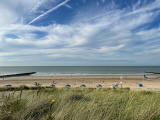 Fototapeta premium Serene beach scene under a partly cloudy sky during daytime. The foreground is filled with tall, lush green grass, while the sandy beach stretches out to meet the calm sea.