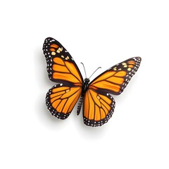 Naklejka premium Vibrant Orange Monarch Butterfly Isolated on White Background Perfect for Design Projects