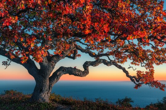 Autumn tree with vibrant red leaves overlooks a tranquil ocean at sunset, creating a serene and picturesque scene.