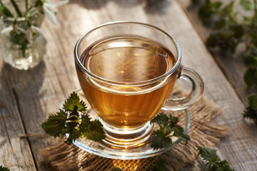 Nettle tea in a glass cup in springtime