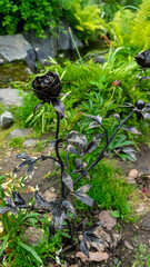 Forged metal roses in park by pond on embankment of Iset River, Yekaterinburg, Russia. Artistic metal forging, landscape design. Vertical image