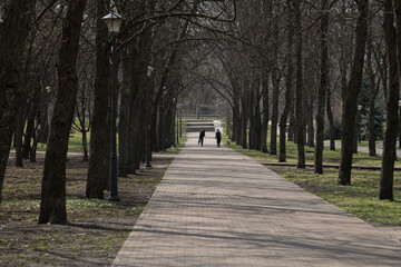 A couple strolls along a paved pathway lined with barren trees in a serene park setting. The atmosphere is calm, hinting at the arrival of spring as they enjoy their time together