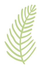 Cartoon grass, fern, frond hand drawn illustration. Scandinavian style flat design, isolated vector. Meadow, woodland, wild plant, botanical element. Kids seasonal clip art, spring, summer print