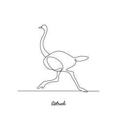 One continuous line drawing of Ostrich animal vector illustration. Bird animal themes in simple linear style vector design concept. Animal bird family for your asset design and educational purpose