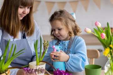 Earth day concept. Little cute girl with mother planting spring bulb flowers hyacinth, tulips at home in a kitchen. Springtime gardening, eco friendly hobby, recreation. Family time, sustainable habit