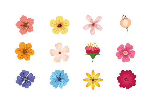 Pink Yellow Blue Floral Bloom Nature Illustration Set
