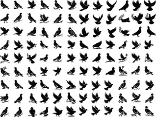 Vector illustration: silhouette of flying birds doves on a white background ilhouette pigeon vector illustration design vector set of silhouette birds, pigeons, fly Pigeon Silhouette Vector
 