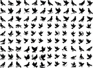 Vector illustration: silhouette of flying birds doves on a white background ilhouette pigeon vector illustration design vector set of silhouette birds, pigeons, fly Pigeon Silhouette Vector
 