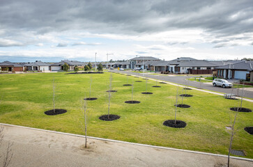 Elevated view of newly planted young trees standing in mulch beds across a vast green grassy area...