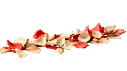 Scattering rose petals clean background isolated on transparent background
