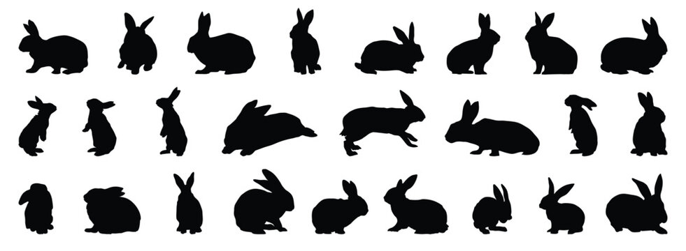 rabbit or bunny silhouette set. rabbit isolated farm animal realistic silhouette icon vector collection