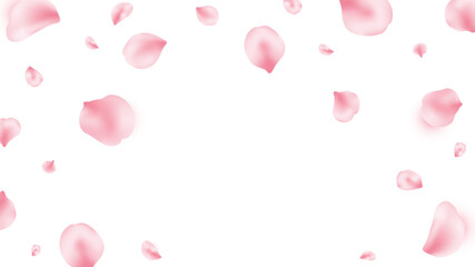 Japan flower background. Spring cherry blossom frame. Sakura petal flying composition. Cosmetic beauty product. Natural decoration. Pink rose. Spa frame. Valentine romantic card. Vector illustration