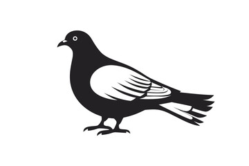 Fototapeta premium dove of peace