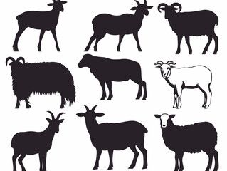 farm animals collection