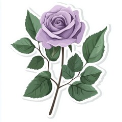 Fototapeta premium contour-cut sticker quality aesthetic quality of the beautiful, 3d rendering, design sticker, vector art sticker, high resolution, detailed, on white background generated AI