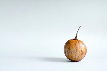 Small Round Pumpkin with Stem Isolated Against a Plain Background