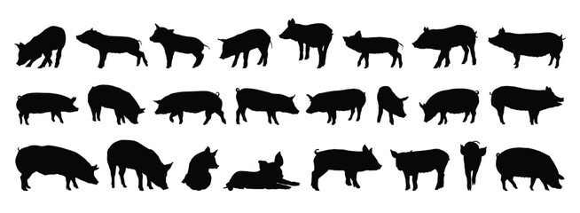 pig and piglet silhouette set. pig and piglet isolated farm animal silhouette icon vector collection © Yanka