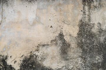 A weathered concrete wall with dark stains and peeling paint, showcasing an aged texture. The rough surface and muted colors evoke an urban, industrial, and rustic feel.