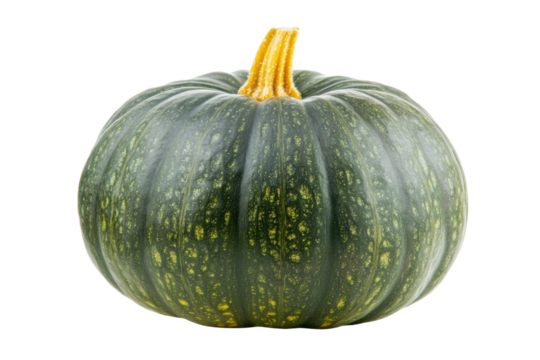 Green kabocha pumpkin with yellow stem isolated on white background, cut out