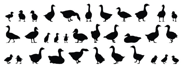 goose and gosling silhouette set. goose and gosling isolated farm animal silhouette icon vector collection © Yanka