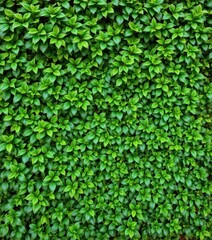 Lush green foliage creates a vibrant, natural wall backdrop, ecology, vibrant green, image