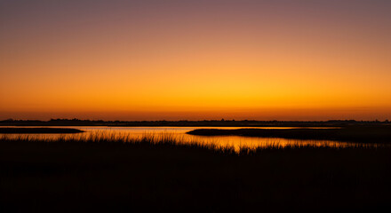 Tranquil orange sunset casting dramatic shadows over marshland grasses