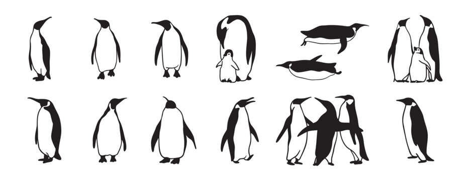 penguin logo doodle hand drawn icon set. Outline drawing penguin line clipart symbol collection
