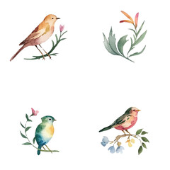 watercolor bird logo, artistic bird illustration, hand-painted bird