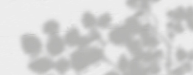 Glare from the sun's rays on the wall. Blurred shadows from leaves and plants in the room. Soft overlay of natural light. Abstract background for product presentation.Natural light layout.