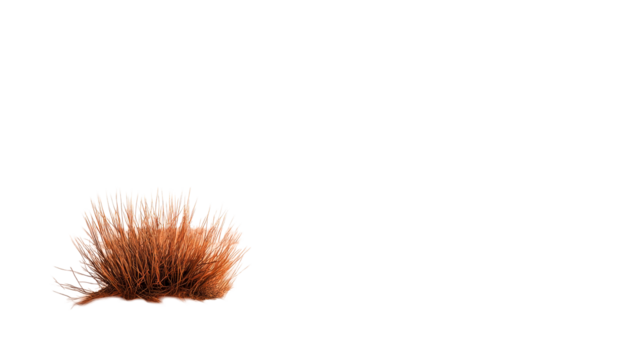 Red fluffy creature with spiky fur on transparent background